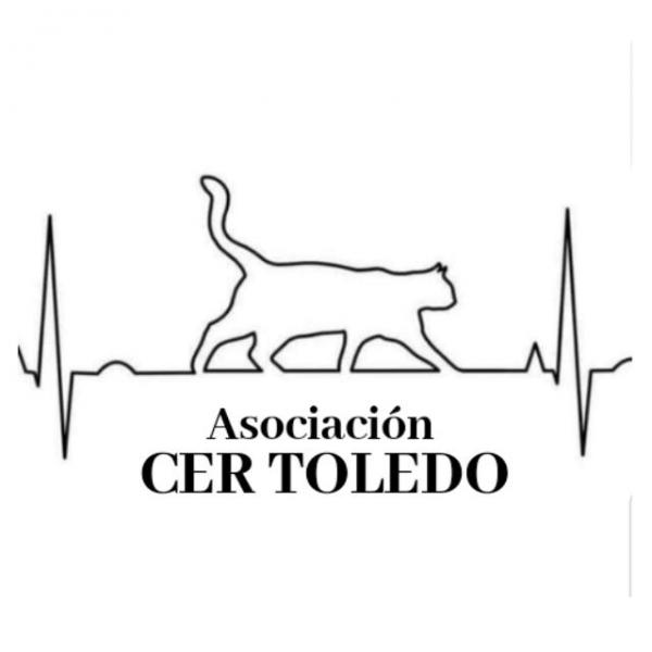CER Toledo